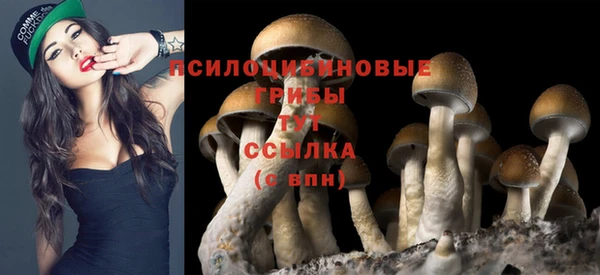 гашиш Алексин