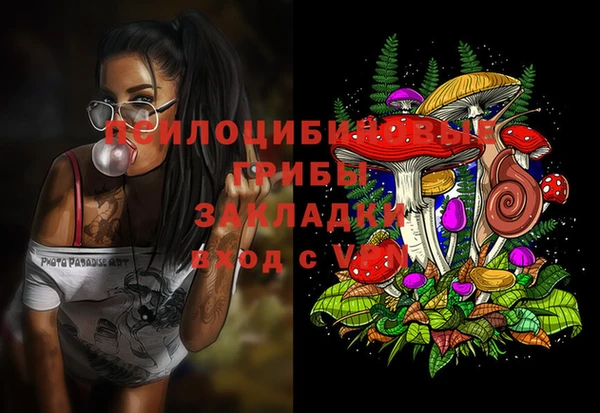 ГАЛЛЮЦИНОГЕННЫЕ ГРИБЫ Алексеевка