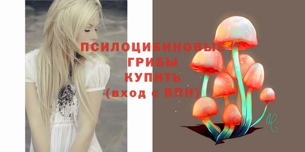 амф Алзамай