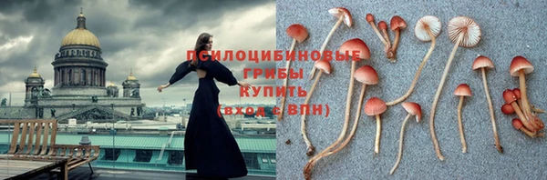 амф Алзамай