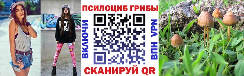 Псилоцибиновые грибы GOLDEN TEACHER  ОМГ ОМГ ССЫЛКА  Поронайск  где продают  